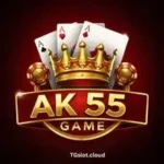 AK 55 Game