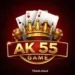 AK 55 Game