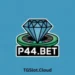 P44.Bet Game
