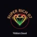 Super Rich 07 Game