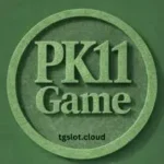 PK11 Game