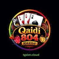 Qaidi 804 Game