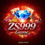 ZS999 Game