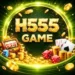 H555 Game