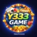 Y333 Game