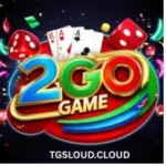 2GO Game