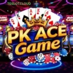 PK ACE Game